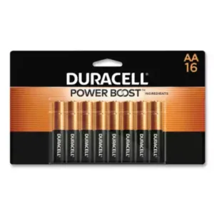 Power Boost CopperTop Alkaline AA Batteries, 16/Pack