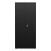 AleraEconomy Assembled Storage Cabinets, 4 Shelves, 30" x 15" x 66", Black (ALEHCM6615BK)
