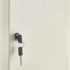 AdirOffice Steel Secure Key Cabinet with Key Lock, 48-Key, 7.1 x 3.1 x 10, Stainless Steel 304, White (ALHI68148WHI)