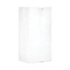 AJM Packaging Corporation Grocery Bag, #1 Size, 3.5" x 2.25" x 6.63", White, 500/Bundle (BAGGW1500)