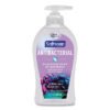 Softsoap Antibacterial Hand Soap, White Tea and Berry Fusion Scent, 11.25 oz, 6/Carton (CPC44573)