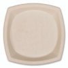 Dart Compostable Molded Fiber Dinnerware, ProPlanet Seal, Plate, 10 x 10, Tan, 500/Carton (DCC10PSC1PF)