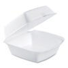Dart Foam Hinged Lid Containers, 6 X 5.78 X 3, White, 500/carton (DCC60HT1)